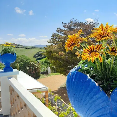 Lispusada Adults Only