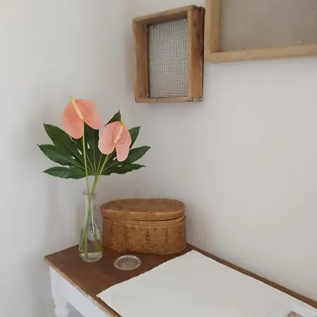 Lispusada Adults Only Biancareddu