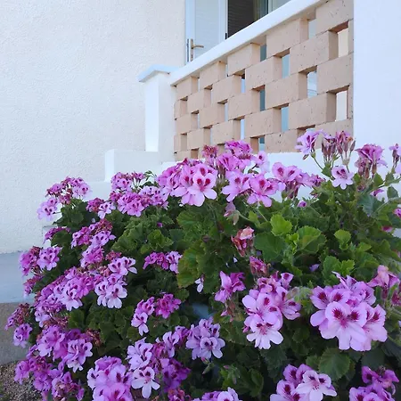 Lispusada Adults Only Bed & Breakfast *