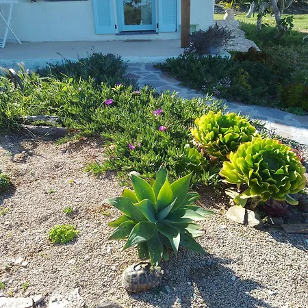 Lispusada Adults Only Biancareddu