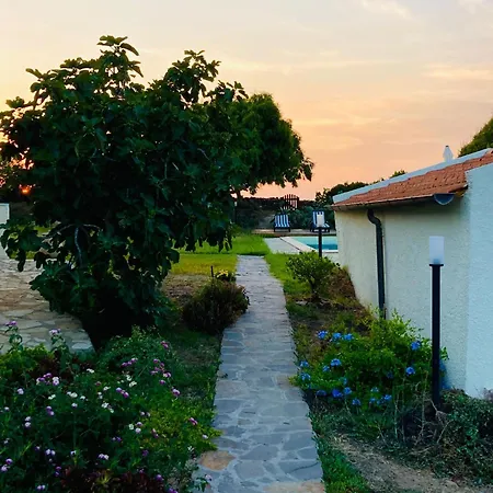 Lispusada Adults Only