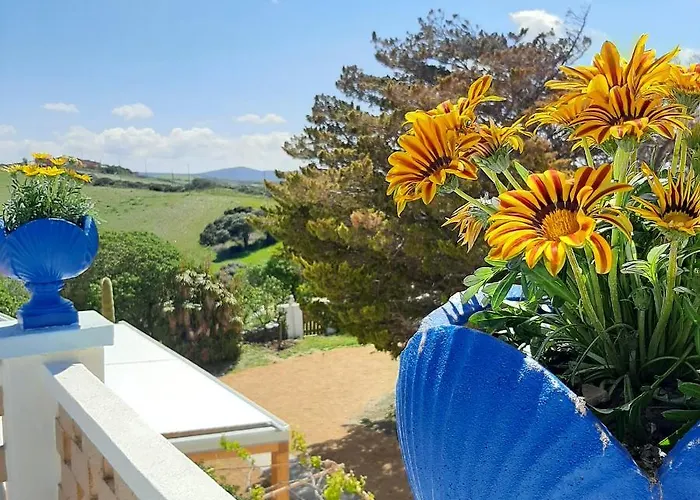 Lispusada Adults Only