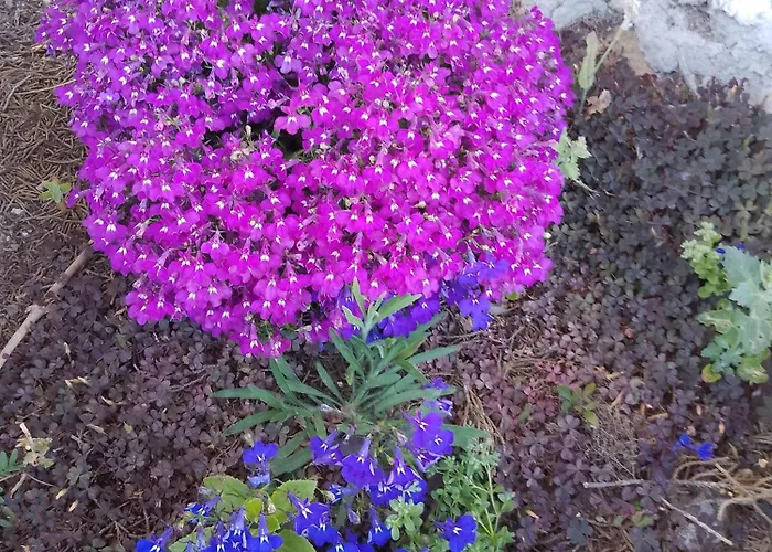 Lispusada Adults Only Bed and breakfast