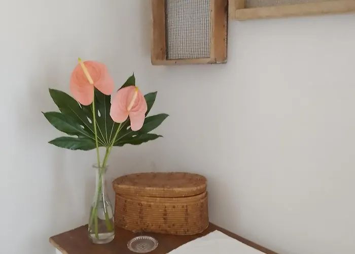 Lispusada Adults Only Biancareddu