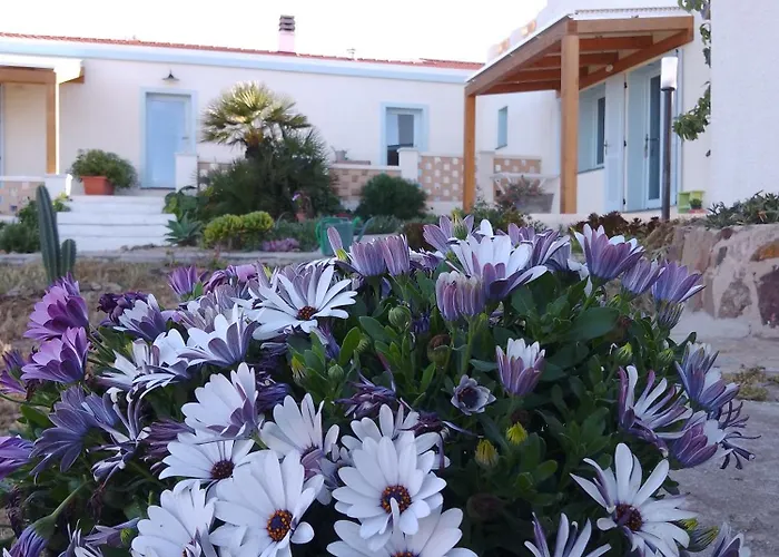 Lispusada Adults Only 4*