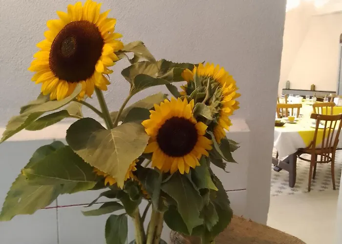 Bed & Breakfast Lispusada Adults Only