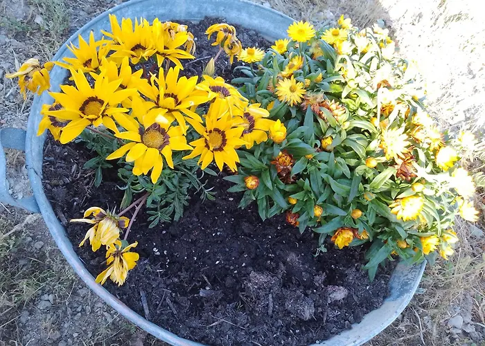 Bed and breakfast Lispusada Adults Only