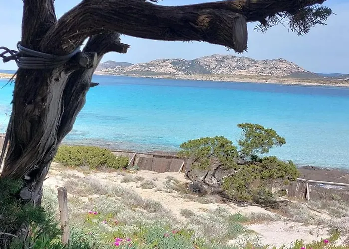 Lispusada Adults Only 4*