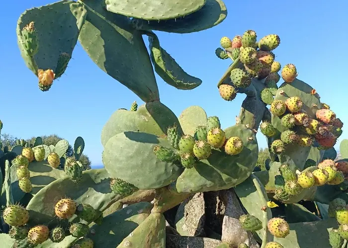 Bed & Breakfast Lispusada Adults Only