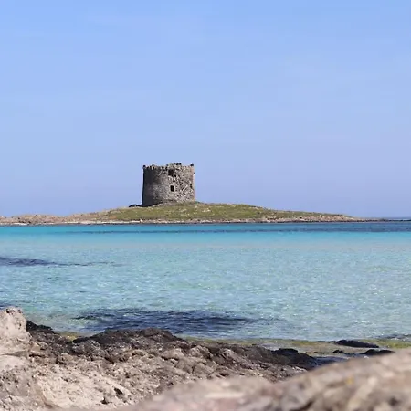 Lispusada Adults Only Bed and Breakfast Biancareddu