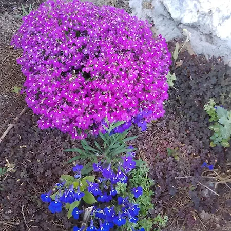 Lispusada Adults Only Bed and Breakfast