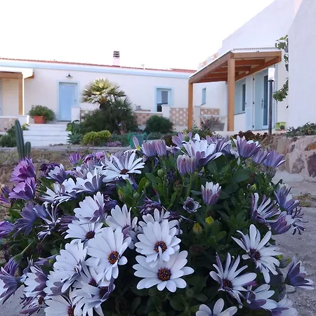 Lispusada Adults Only 4*