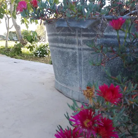 Lispusada Adults Only Bed and Breakfast 4*