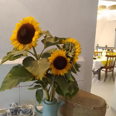 Bed and Breakfast Lispusada Adults Only