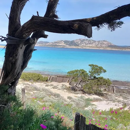 Lispusada Adults Only 4*