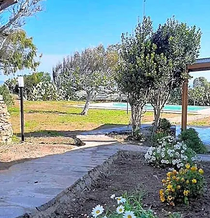 Lispusada Adults Only 4*