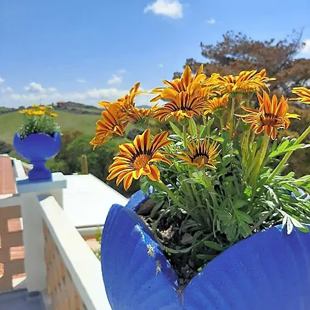 Lispusada Adults Only Bed & Breakfast 4*
