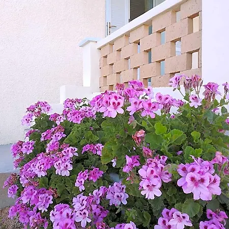 Lispusada Adults Only Bed & Breakfast 4*