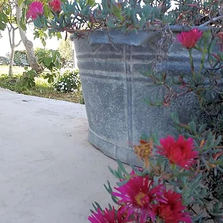 Lispusada Adults Only Bed & Breakfast Biancareddu