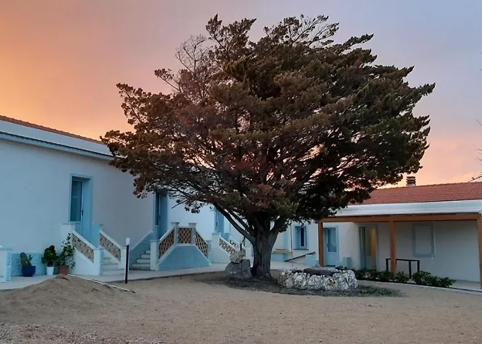 Lispusada Adults Only Biancareddu