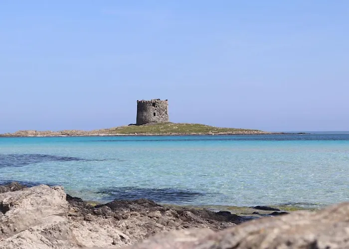 Lispusada Adults Only Bed & Breakfast Biancareddu