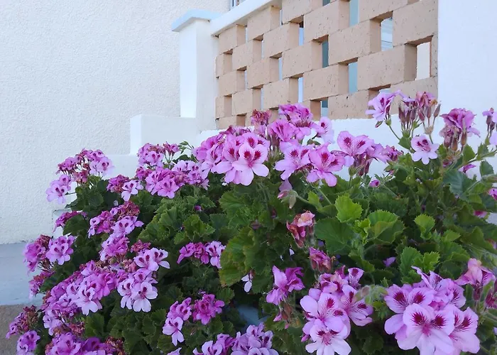 Lispusada Adults Only Bed & Breakfast 4*