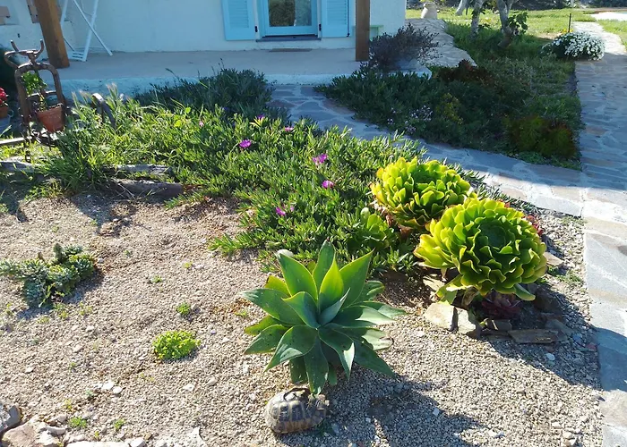 Lispusada Adults Only Biancareddu