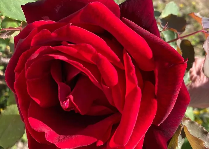 Bed & Breakfast Lispusada Adults Only 4*